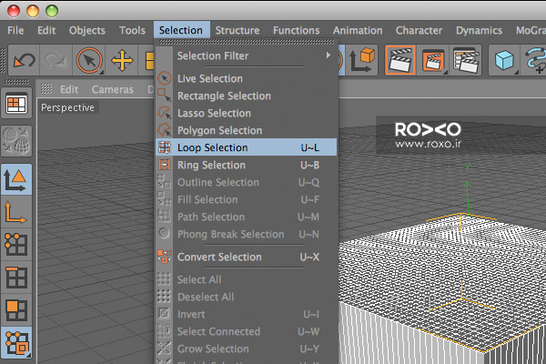 انتخاب Loop Selection در سینما فوردی