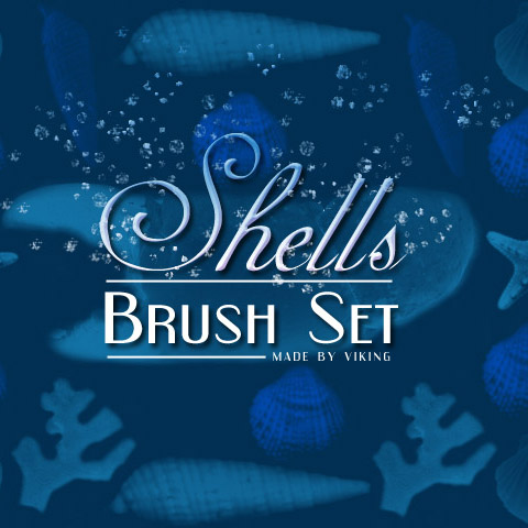 shells-brushes-by-viking