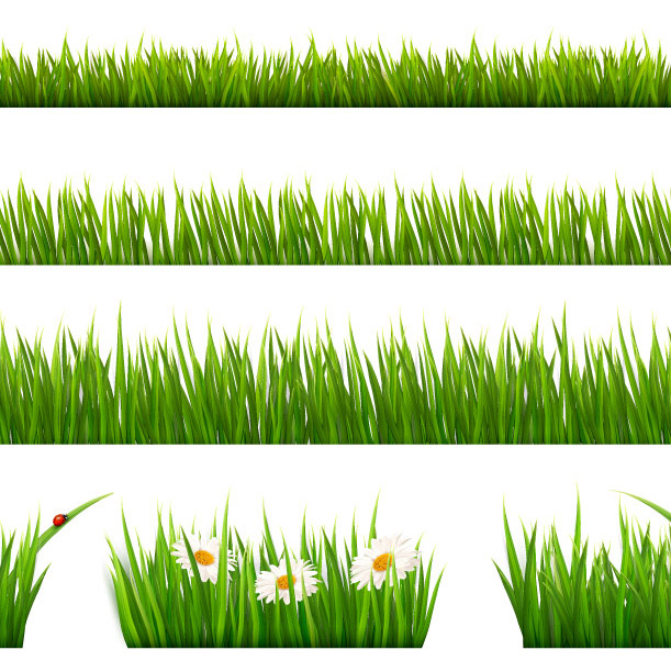 grass-vector-illustrator-23