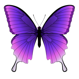 design-a-butterfly-(18)