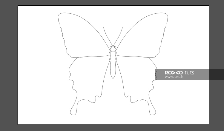 طاحی ساختار کلی بدن پروانه در ایلوستریتور