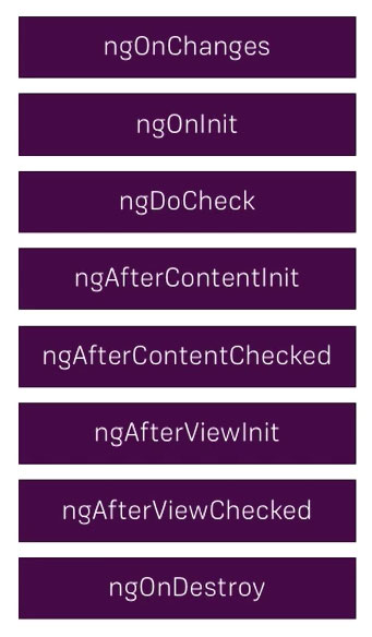 چرخه حیات (lifecycle) و هوک (hook) در انگولار