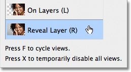 Reveal Layer
