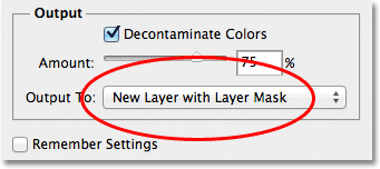 New Layer with Layer Mask