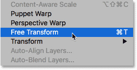 Free Transform