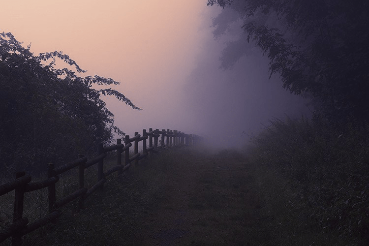 Germany-Path-into-the-unknown