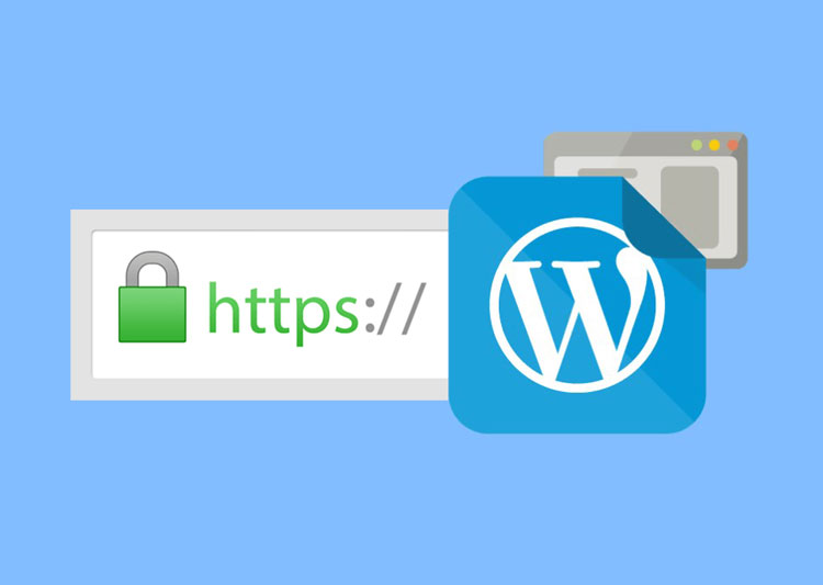 ssl-wordpress