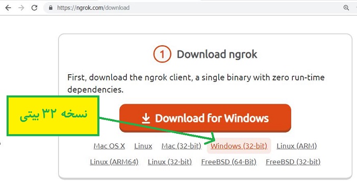 دانلود برنامه ngrok نسخه 32 بیتی