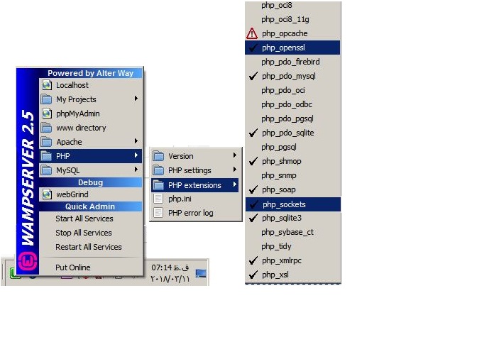 ریست کردن php_openssl و php_sockets