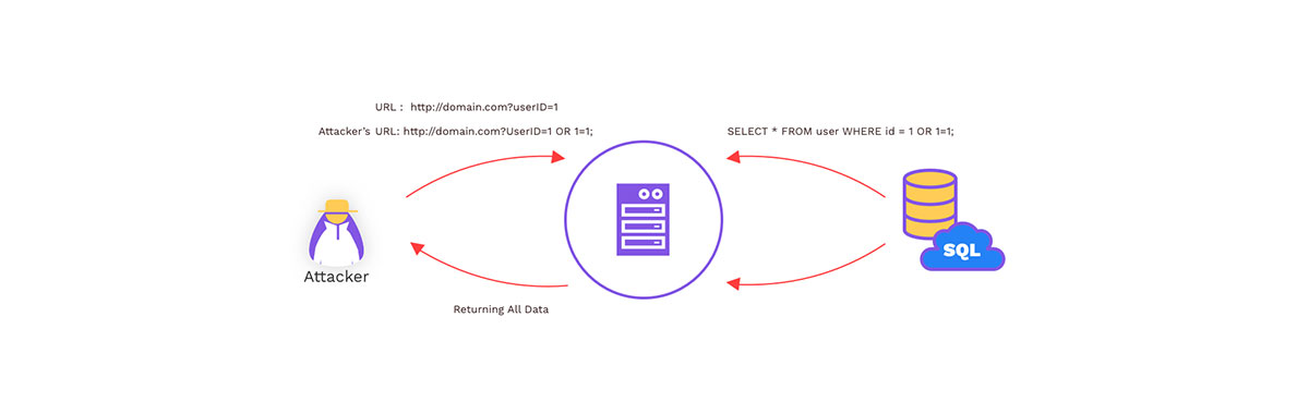 شرح حملات SQL Injection