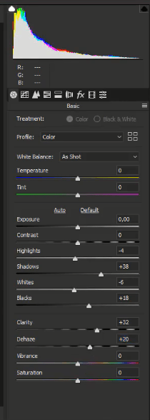 تنظیم camera raw filter