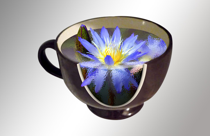 How-to-Create-a-Water-Lily-in-a-Cup-Effect-in-Photoshop