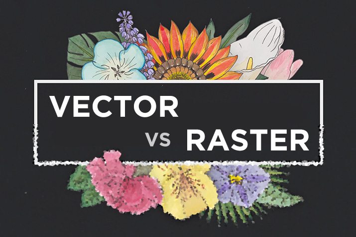 vector-vs-raster