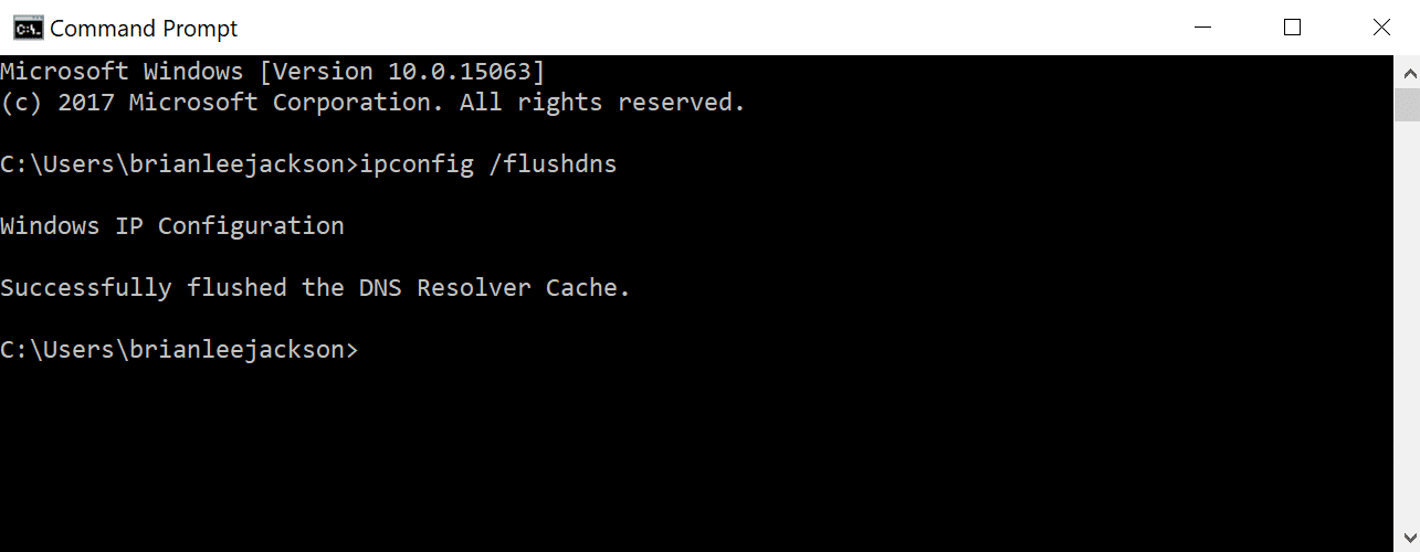 اجرای دستور flush کردن DNS ها