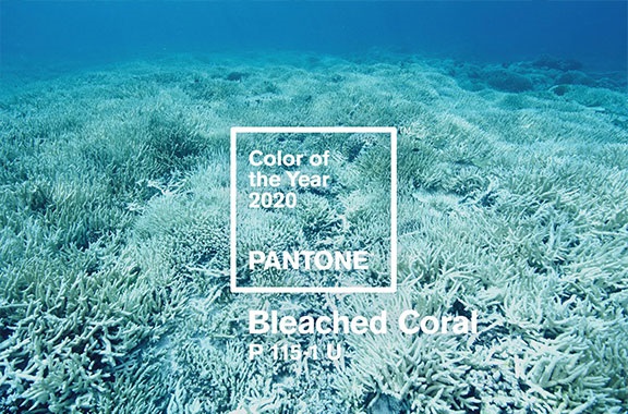 سفید مرجانی، پیش بینی اشتباه برای رنگ 2020