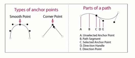 انواع anchor point و نقاط مختلف آن