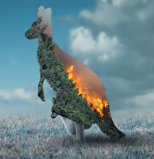 clip کردن لایه ی جنگل در آتش به بدن کانگورو