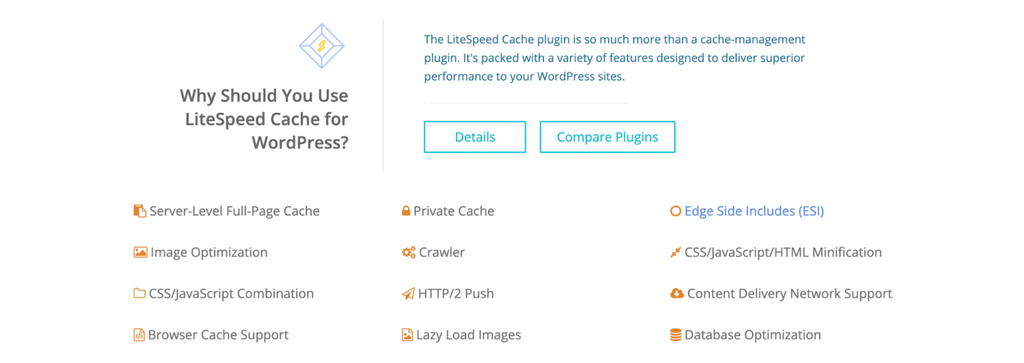 معنای Web Caching