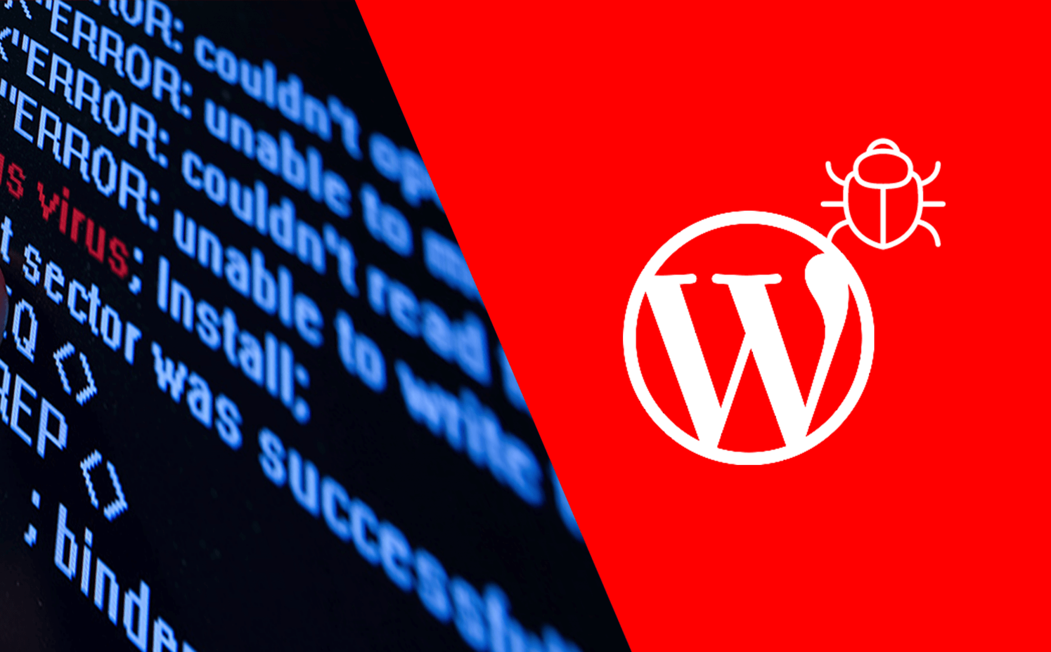 malware-wordpress-main (1)