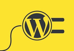 نحوه غیرفعال کردن همه افزونه های وردپرس (زمانی که به داشبورد دسترسی ندارید)