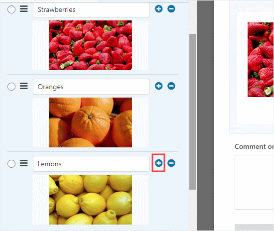 افزودن گزینه ها به چک باکس - انتخاب عکس در فرم‌ های وردپرس