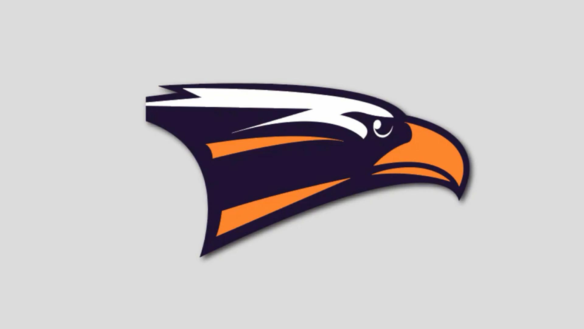 آموزش طراحی لوگو در Adobe Illustrator