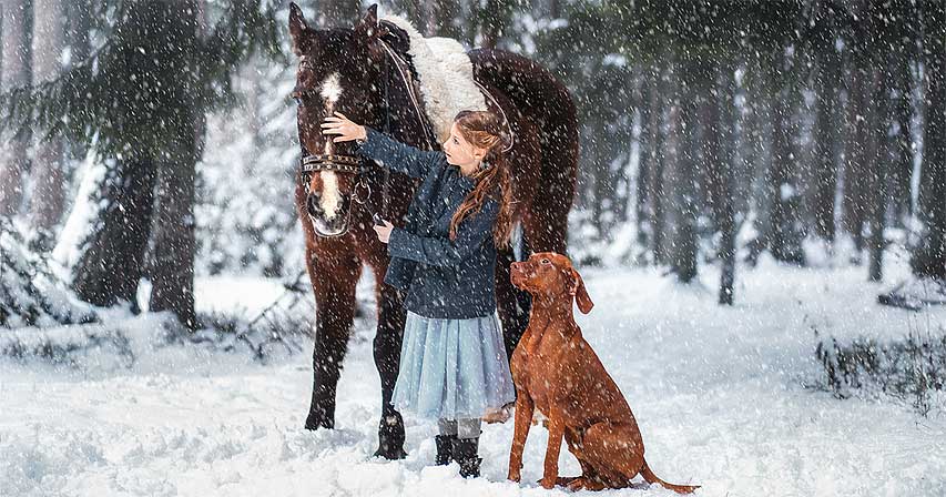 نحوه افزودن آب و هوای برفی به تصاویر در فتوشاپ