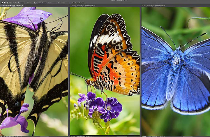 Learn-How-to-Work-with-the-Arrange-Menu-in-Photoshop